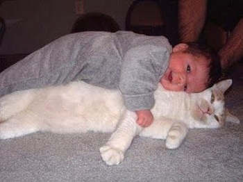 ���� � �����