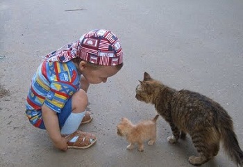 ���� � �����