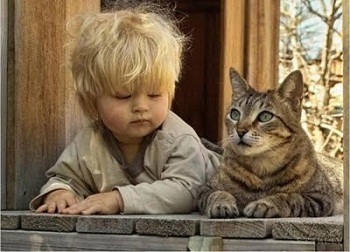 ���� � �����