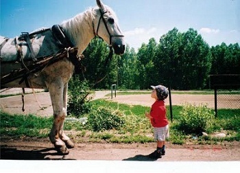 ���� � ��������