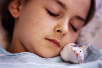 ���� � ��������