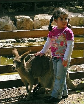 ���� � ��������