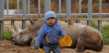 ���� � ��������