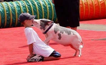 ���� � ��������