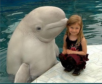 ���� � ��������