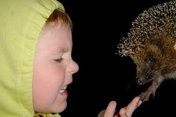 ���� � ��������