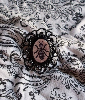 ��������� � ����������