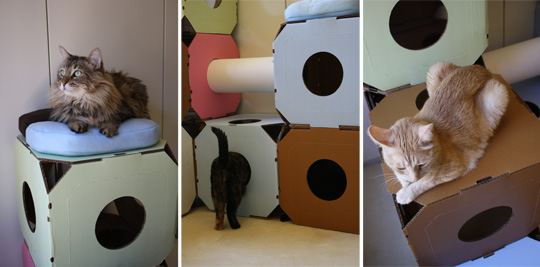 ������ ������ �� �������