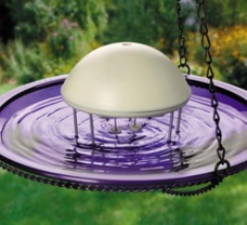 ������-������ ��� ����