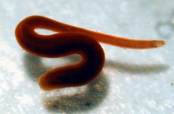 � �� ���� �������� ���� �� ����