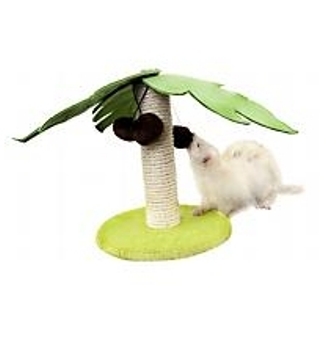 ��� ����� ������ ��� ����� � �����