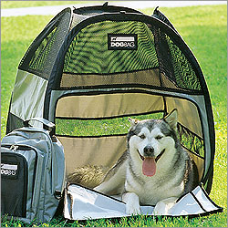 ������� ��� ������