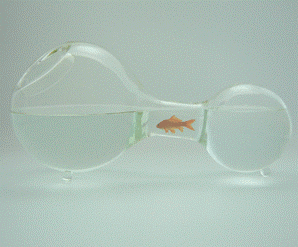 ���������� �������������