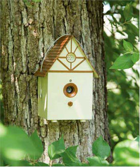 ���������� � ��������