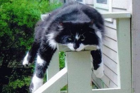 �������� ������: ������ ����!