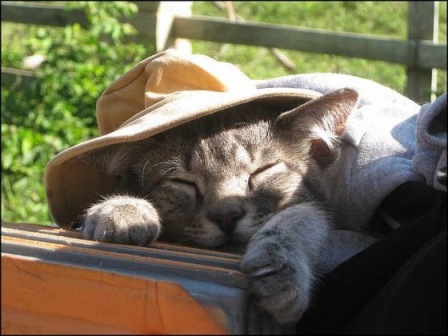 �������� ������: ������ ����!