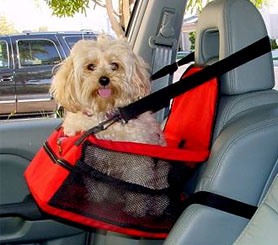 ���������� ��� ������� ����� �������