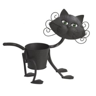 �������� ����