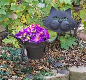 �������� ����