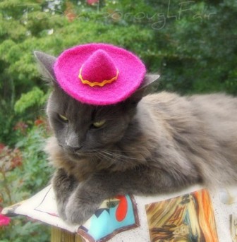 �������� ��� �����