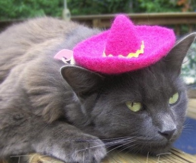 �������� ��� �����