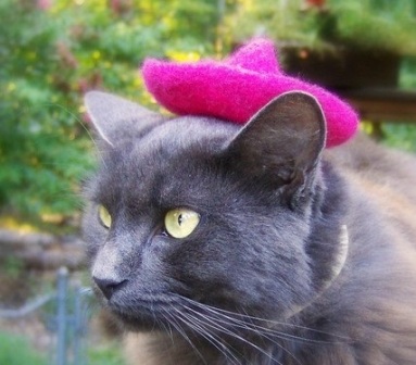 �������� ��� �����