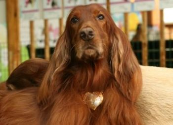 Mp3 ����� ��� ������. �� �������, � �������