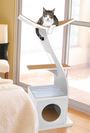 ����� ��� �����