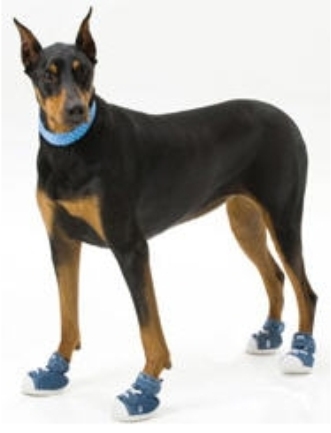 �� ������ �������