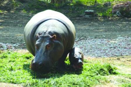 ���� �������� ����������� � ������� ����