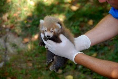 ���� �������� ����������� � ������� ����