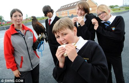 Джаспер и Хоуп спешат на помощь Джаспер и Хоуп спешат на помощь