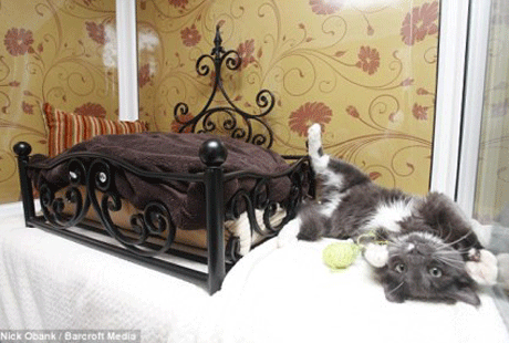 ������� � ����������!