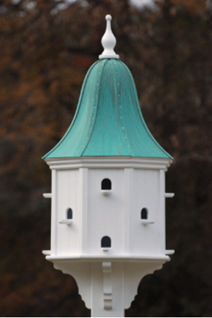 ��������� ������ ��� ����