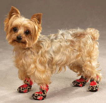 ��������� ������� ��� �������� ���