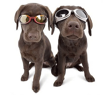 ����� �� ������� ����?