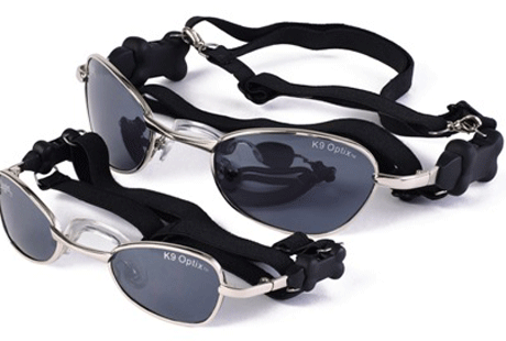 ����� �� ������� ����?