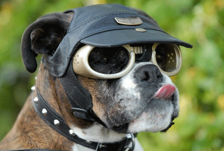 ����� �� ������� ����?