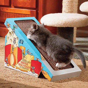 ����� ���, ��� ��� �� ������ �����, � � �����, ��� ��