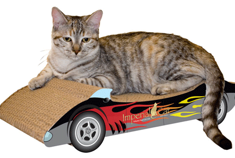 ����� ���, ��� ��� �� ������ �����, � � �����, ��� ��