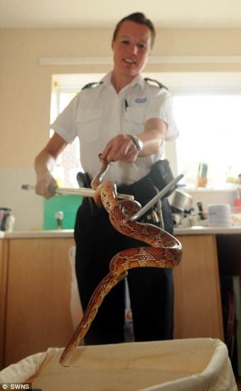 ��������� ����������� ��������� ����