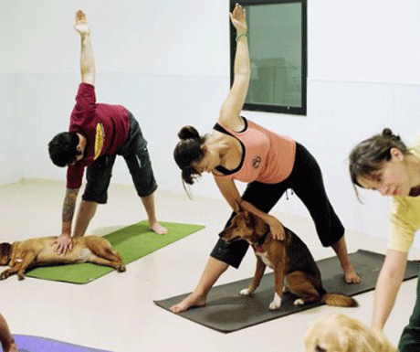 ���� ��� �����