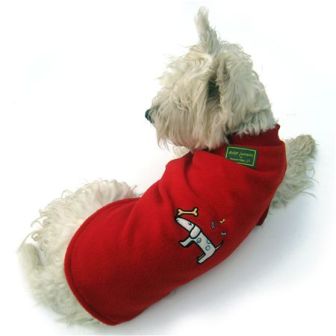 ������������ ������ ��� �����