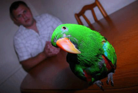 �������� ������� ���� ��� �� ����������