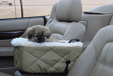 ������������� ������ ��� �����