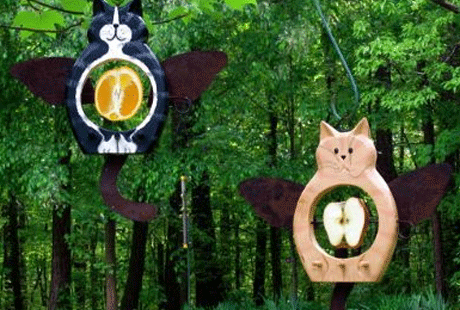 ������� ��� ������ ����