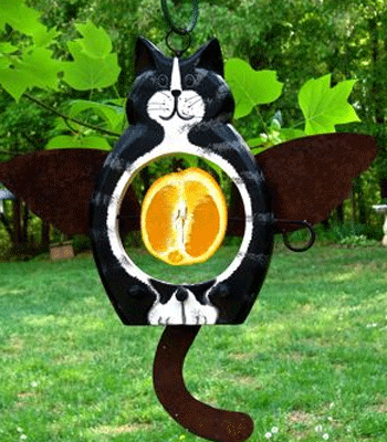 ������� ��� ������ ����