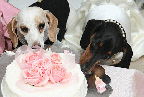 ������� �������� ��� ������ �������