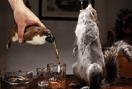 Любимцев подают к столу в готовом виде Любимцев подают к столу в готовом виде