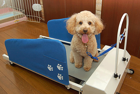 ������� ������� ��� ����� ������